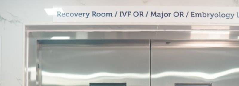 ICSI vs IVF: What's the Difference?